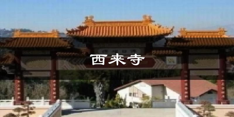 海东乐都西来寺天气预报未来一周
