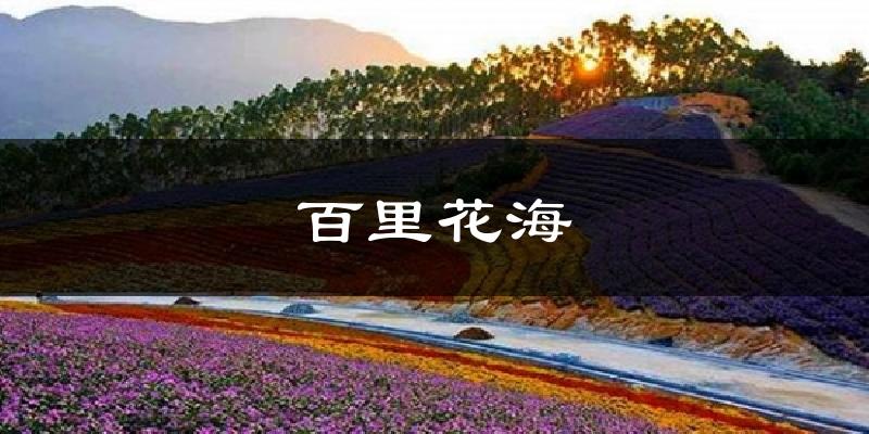 百里花海气温